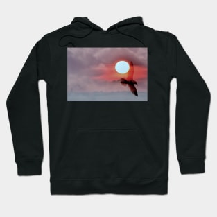 Breton phoenix Hoodie